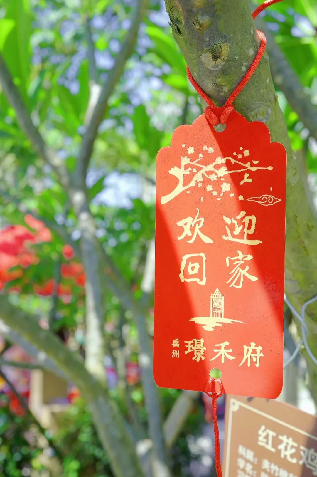ffcd36f9-f29a-4857-b635-3cd3ac25e8d1
