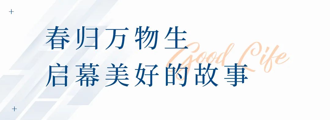 b58b8441-c65f-4c0d-8b4c-94dc3c2366b6